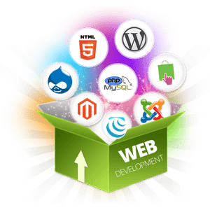 Web development